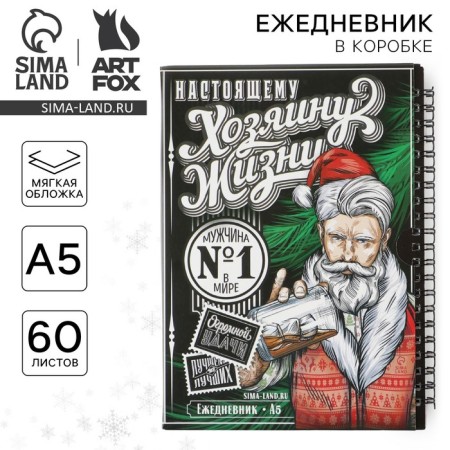 New Year. Diary in a gift box “The owner of life”, A5, 60 sheets, on the crest