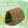 House "Nora" for rodents 20*14*12 cm, calico, fleece, foam
