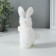 Interior doll "Baby in a bunny costume with carrots" 6x7x15 cm