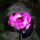 Garden lamp on the sunny battery "Lotus", 70 cm, 1 LED, glow of white