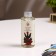 Filler for aromatic diffuser currant bush 100 ml