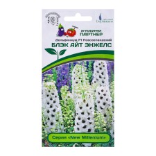 Flower seeds Dolphinium 