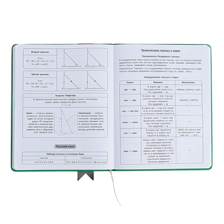 Universal diary for grades 1-11 Lenta, solid cover of artificial leather, applique, silkography, liesse, 48 sheets, green-9