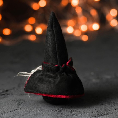 Witch "Gnomik Archie" in pumpkin-4