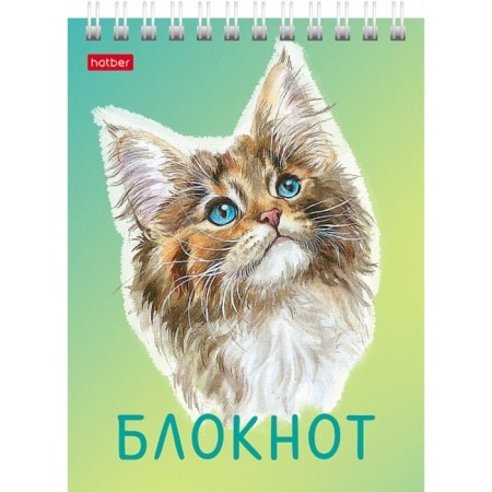Notepad A6, 40 sheets on the crest "cats are different", cover coated cardboard, UV-lak, block 65 g/m², mix-5