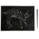 Big engraving with the effect of gold "Bengal cat"