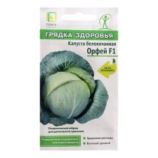 White cabbage seeds 