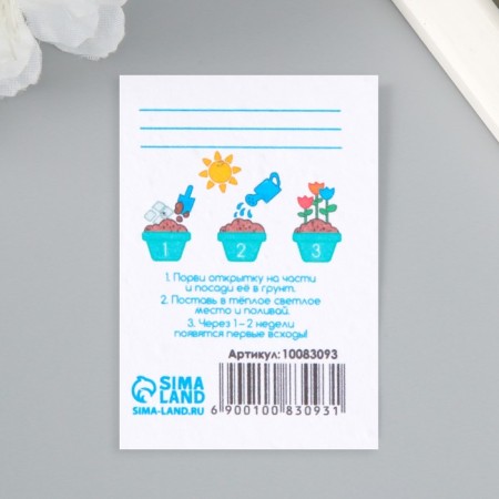 Postcard with the seeds "grow itself" "Happy birthday" Children's 5*7cm-2