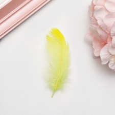 Filler of feathers for balls and gifts, lime with glitter, 10-12cm 8 g