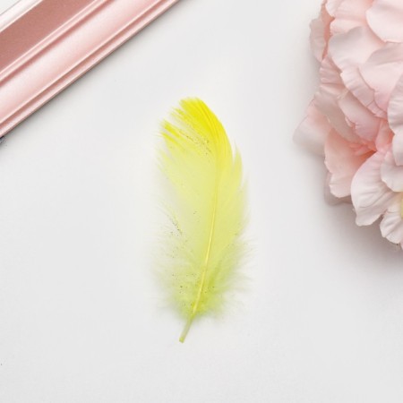 Filler of feathers for balls and gifts, lime with glitter, 10-12cm 8 g
