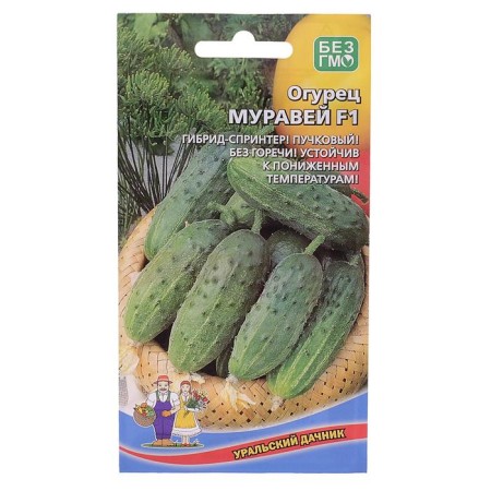 Seeds Cucumber Ant F1 10 pcs-2