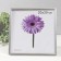 Photo frame plastic LIDA 20x20 cm silver