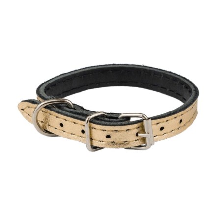 The collar is two-layer leather, width 1 cm, Osh 19-25 cm, gold
