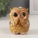Souvenir Polystone "Owls - Secret, Rhugal Strap" 7.5x6.5x8.5 cm