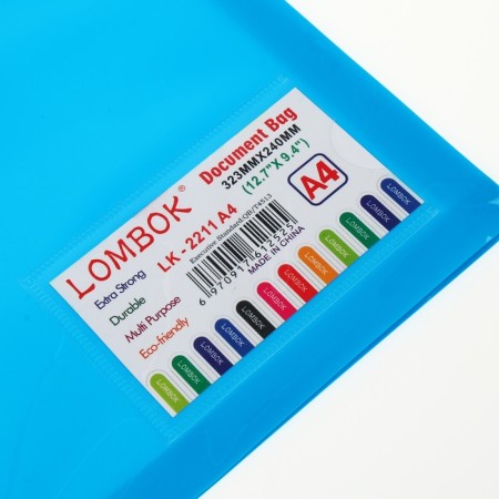 The convert folder on the A4 button, 500 md, with extension, vertical, pocket for business cards, mix-9