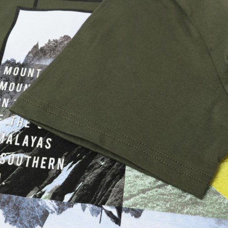 Men's T -shirt with print, khaki color, size 56-2
