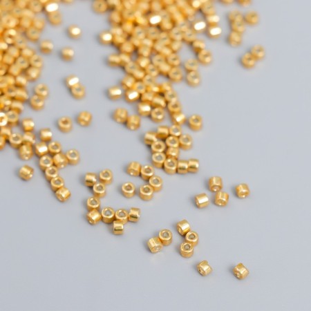 Glass 11/0 "Cylinder. Golden gloss" 10 g