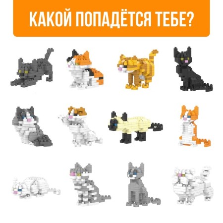 Designer - Surprise Cute Cats-1