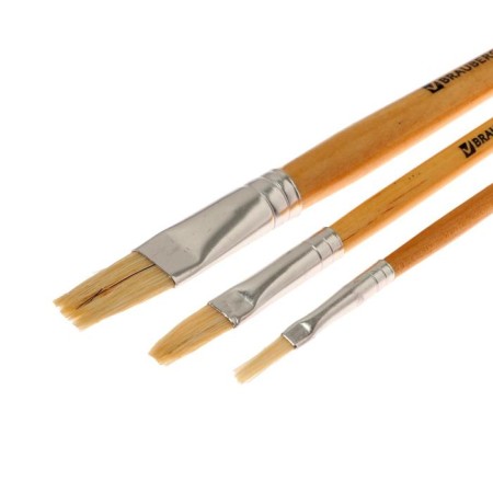 Set of brushes bristles 3 pieces: flat No. 4, 8, 14-2