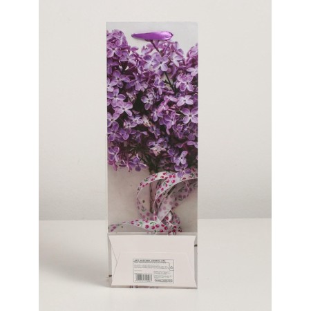Laminated package for a bottle, 12 x 9 x 36 cm-2