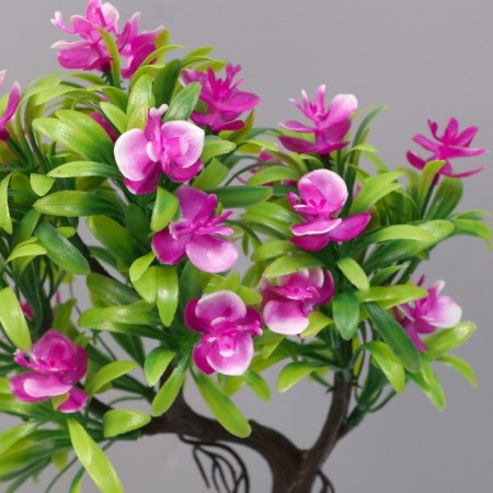 Bonsai in a pot "A tree with thin leaves and flowers" 10x24 cm, mix-1