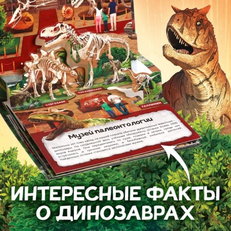 Book-Book 3D "Dinosaurs", 12 p.-2