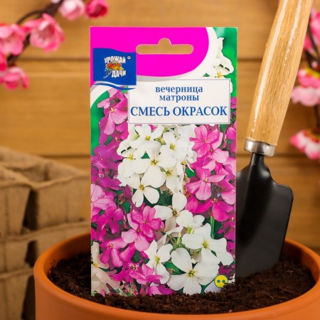 Flower seeds Vespers "mixture of colors", 0.3 g-2