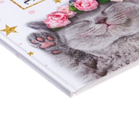 Universal diary for grades 1-11, "kitten with roses", solid cover 7BC, glossy lamination, 40 sheets-3