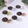 Incense spiral "sandalwood, agarwood, aloe, pear, flowers", set (6 in 1) + gift