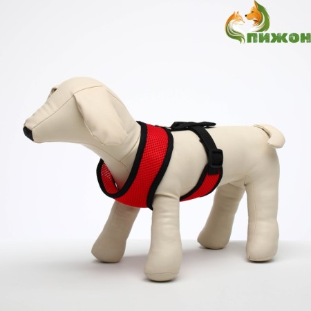 Soft hollow made of neoprene, size m, Osh 34 cm, OG 32-42 cm, red