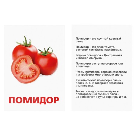 Training cards according to the methodology of Doman "Vegetables"-2