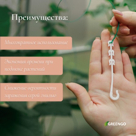 Discussion, 9 cm, set 50 pcs., Greengo-2