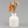 Book of dried flowers "delight"