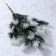 Decor "Branch of Frosty spruce"