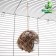 LOZA nest 15 grams