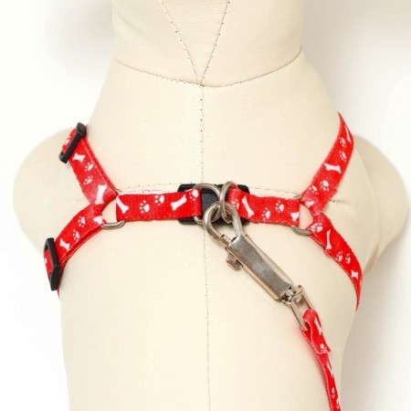 Set "Classic", Kapron, leash 120 x 1 cm, fire 21-35 cm, red-3