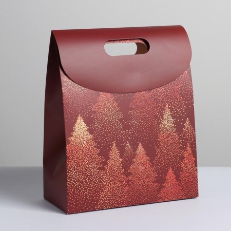 A package with a valve "Wonderful New Year", 26 x32 x12 cm, New Year-1