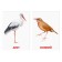 Educational cards according to the method of Glena Doman "Birds", 8 cards, 2+