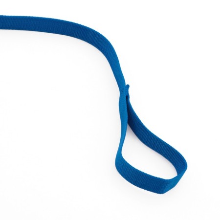 Leash 5 m x 2.5 cm, blue-2