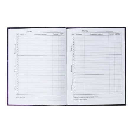 Universal diary for grades 1-11, "kitten", solid cover 7BC, glossy lamination, 40 sheets-9