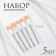 A set of applicators for shadows, 5 pcs, 7.5 cm, transparent color