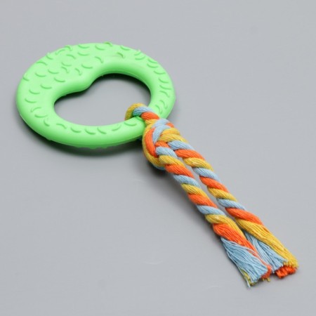 Chewing toy with a rope "Girya", green-3