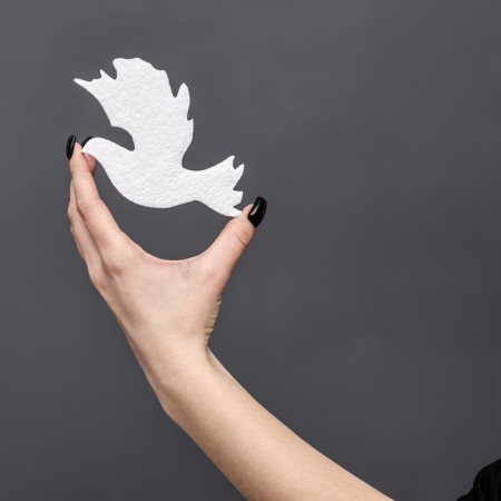 The blank of foam "pigeon", 13 x 1 cm, set 2 pieces-4