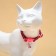 The cat collar "wave", with a bell, 30 x 1 cm, polyester, pink