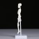 Model "Human Skeleton" 22cm