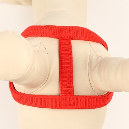 COMPORTS COLLECT COMBODY, 1.5 cm, Osh 36-50 cm, og 40-55 cm, red-4