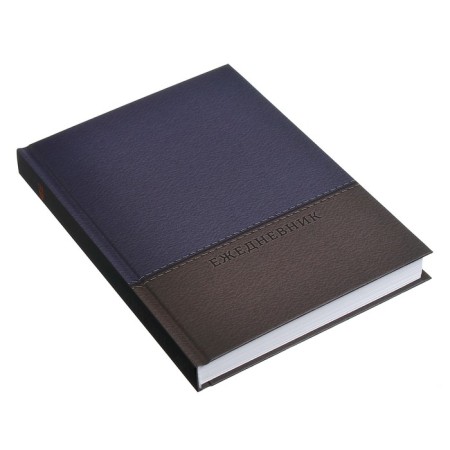 The diary is half-dantered for 4 years A5, 192 sheets, solid cover, silk, gray-blue-1