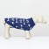 Sweater "Bones-snow", size 6 (DS 17-20, OG 22-28, Osh 14-16 cm), blue