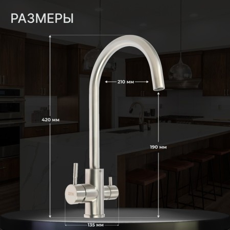 Zein ZS 20101 kitchen mixer, with output for drinking water, stainless steel, satin-1