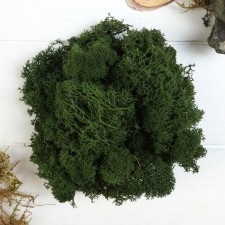 The moss stabilized 